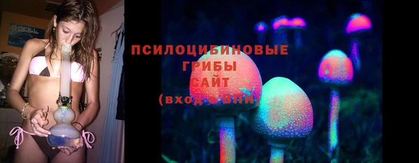 метадон Гусь-Хрустальный